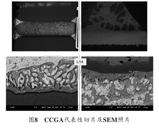 圖8 CCGA代表性切片及SEM照片